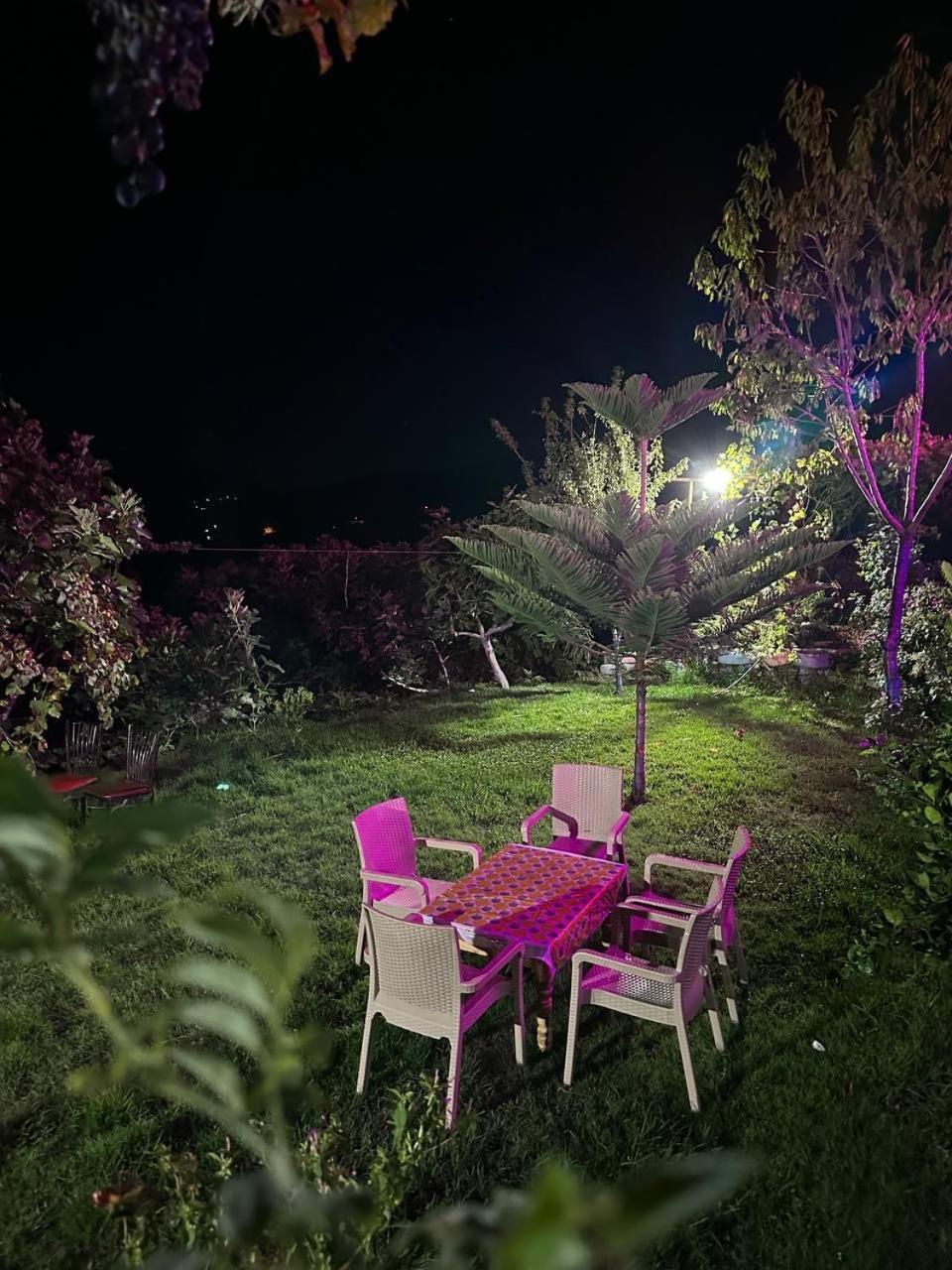 Bab Tazza Dar La Ziza Bed & Breakfast エクステリア 写真